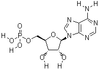 61-19-8 5'-單磷酸腺苷