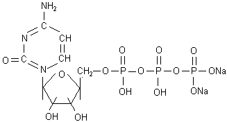 18423-42-2;36051-68-0 胞苷 5'-三磷酸二鈉鹽 “哦
     
    </td>
   </tr>
  
  
    
  
    

     
 </table>
 <br />
 <table width=