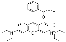 81-88-9 羅丹明 B