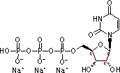 19817-92-6 Uridine-5'-三磷酸三鈉鹽