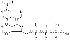 987-65-5;51963-61-2 5'-三磷酸腺苷二鈉鹽 