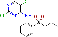 761440-16-8 2,5-二氯-N-(2-(異丙基磺酰基)) 苯基)嘧啶-4-胺